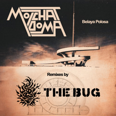 Ty Zhe Ne Znaesh (The Bug Dub Remix)
