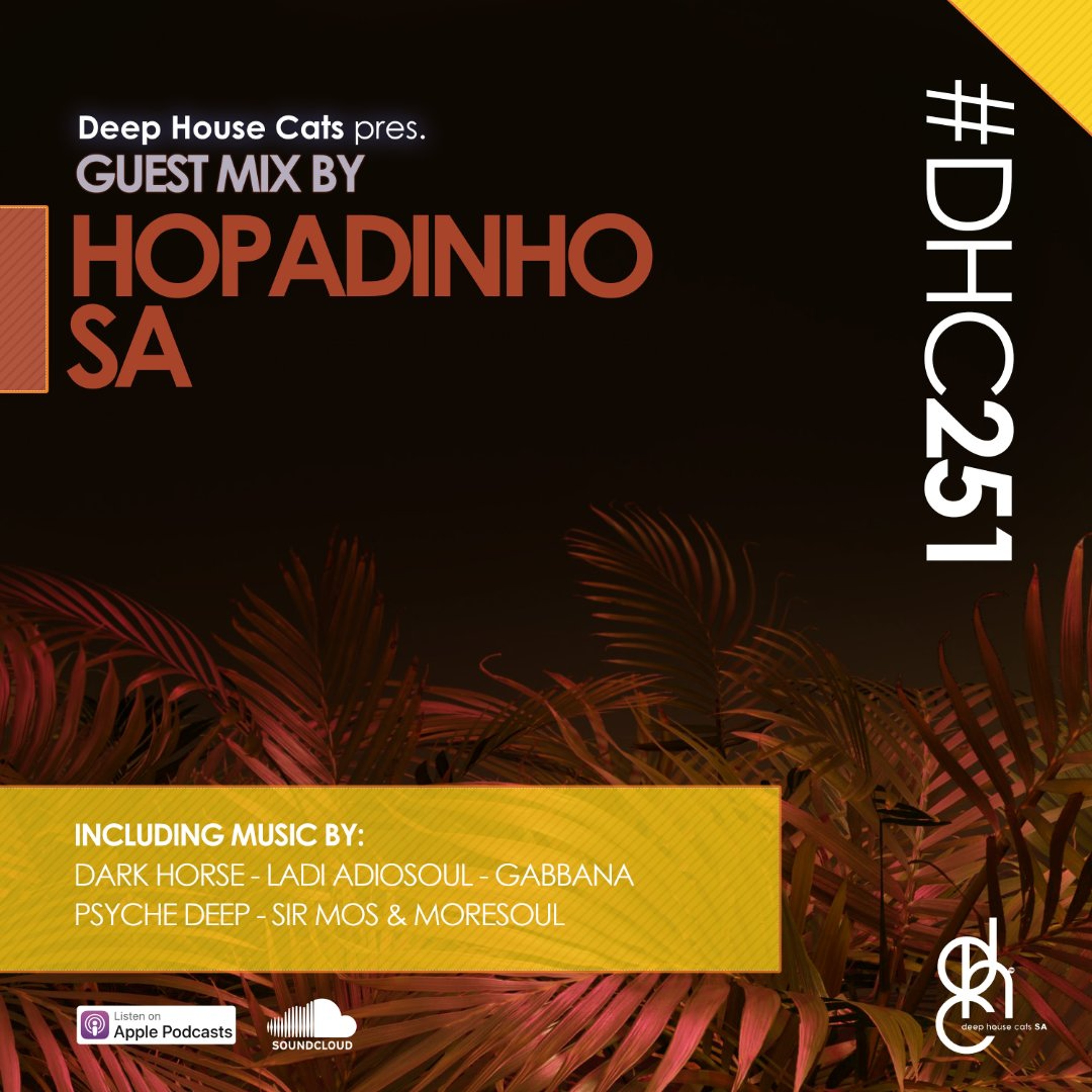 #DHC251 - Guest Mix By Hopadinho SA episode artwork