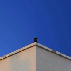 Spring 2026 Tech House 90 Minute Mix