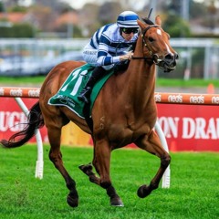 Blue Diamond Day Punting Preview