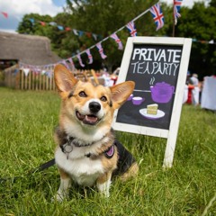 Queen's Platinum Jubilee Tea Party at COAM - Chiltern Open Air Museum