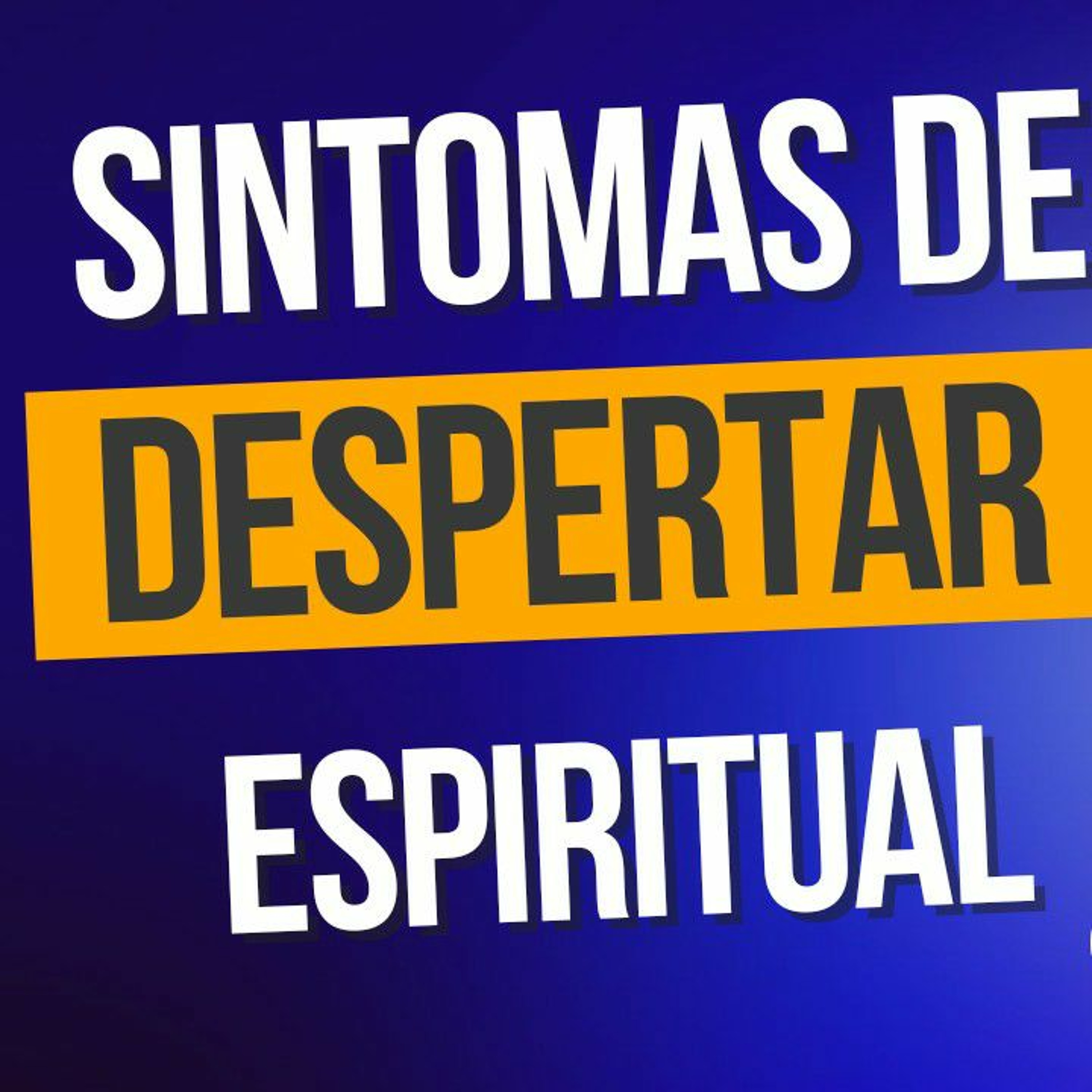 Raquell Menezes | Códigos de Luz & Negócios de Alma