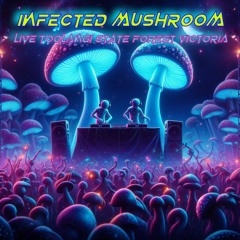 Infected Mushroom Live Bootleg Toolangi Vic Australia (Erez Eisen only) 2004 maybe !