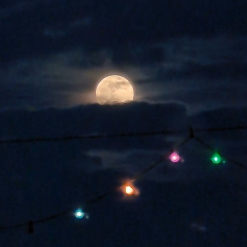 Moonlights