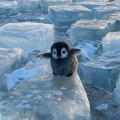 o(*￣▽￣*)oƪ(˘⌣˘)ʃ##HERITAGE (#blessed by dj kapnos 7.70)