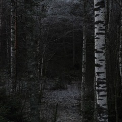 ☽ Bl🜔🜔dl3tting Mix ☾ (5-25-25) @Fl33tw🜔🜔ds