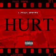 LowlifeZil - Hurt (Official Audio)
