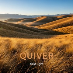 Quiver