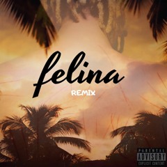 WIU & MC Ryan SP - Felina (Gabe Pereira Remix)
