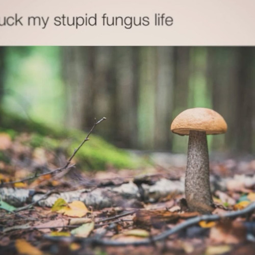 you look really nice in that dress! (that one part)