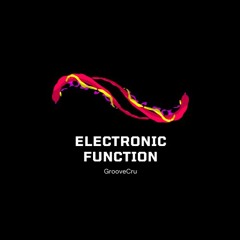 Electronic Function