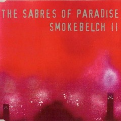 The Sabres Of Paradise - Smokebelch II (Focus FL Mix)
