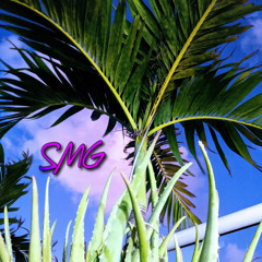 Dylans' Riff (SMG) prod. Sweet Meek