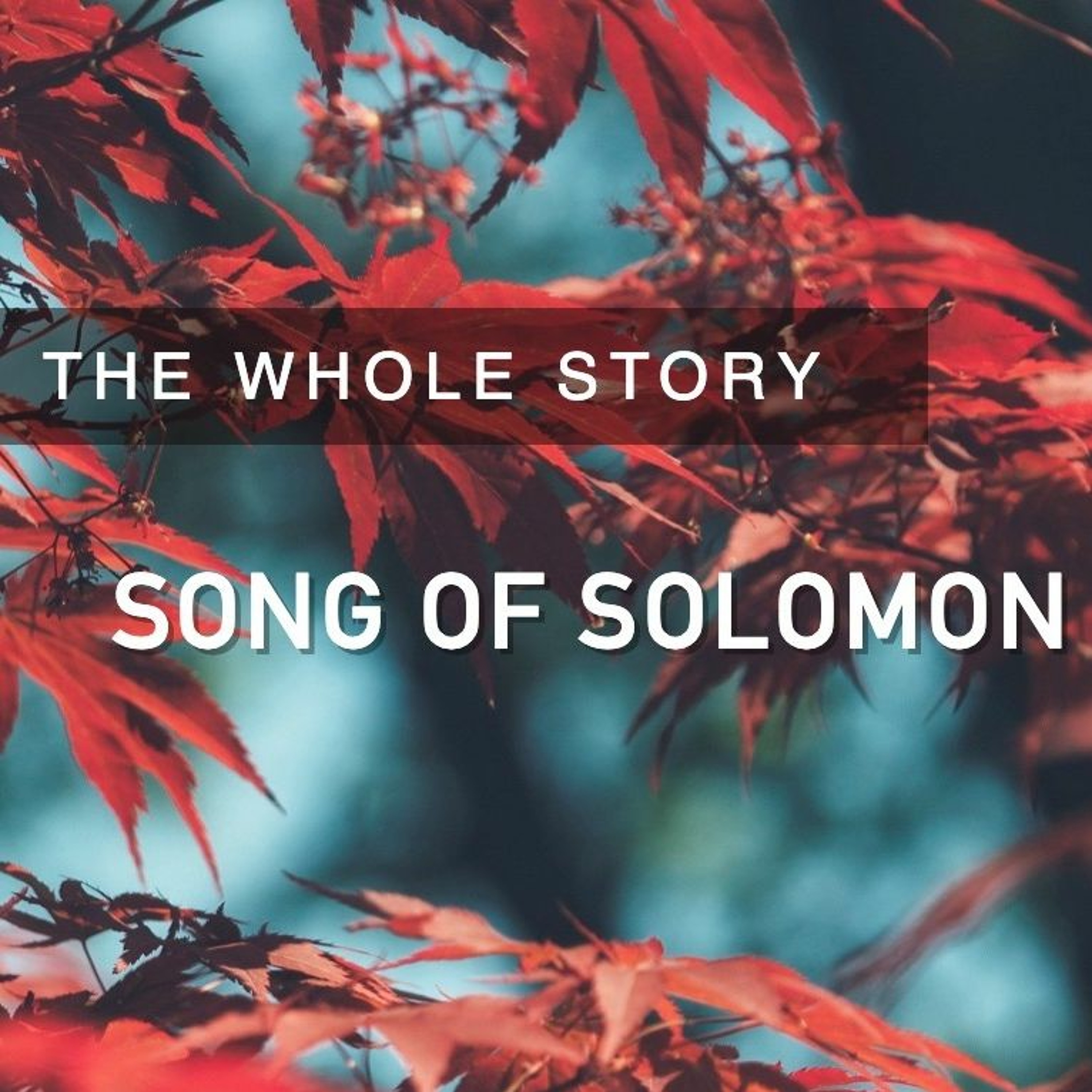 SONG OF SOLOMON: True Love - Pastor Mike Booker (1.10.2021) episode artwork