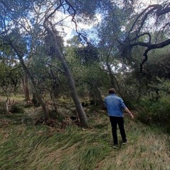 L̵̩̺̝̜̮̳̠͉̣̲̹̰̬̘̠̮͈͖̺͍̉̑̑̀̈́͗̚ͅȩ̶̢̗͚͙̹͓̖̣̭͓͚̟̱̳̺̳͚̜̦̟̫̤̻̈́̀͑ͅs̸̢̨̢̫̖̦̬̠̬̪̣̲̰̬̰̝̞̘̃͗͌͗ͅb̷͊̄͐́̎́̂͌̎̔̋̏̚