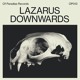 on OP013 // Lazarus - Downwards