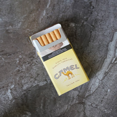 Paolo Cremonini - Camel Gialle (Solo se sono 100s)