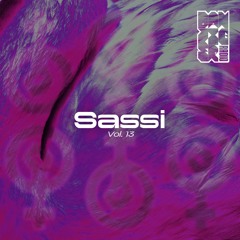 Radio Danziger Vol. 13 by Sassi (Guest mix)