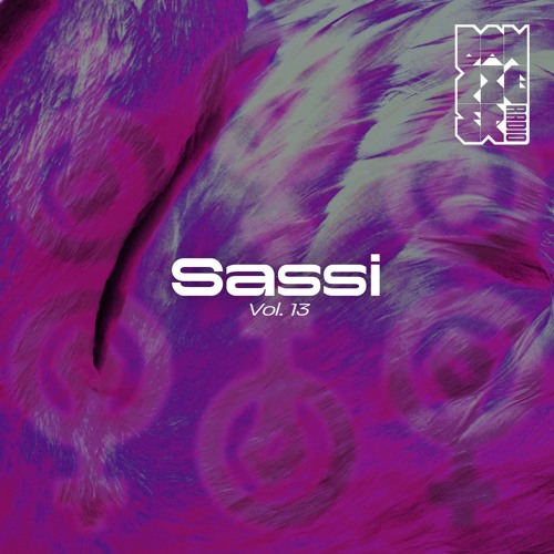 Radio Danziger Vol. 13 by Sassi (Guest mix)