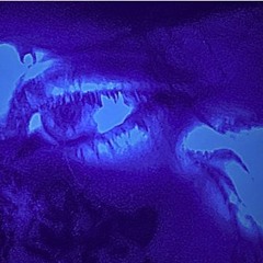 Slow Bloom (Acoustic Cover The Home Team)