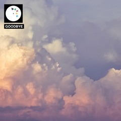 Goodbye