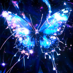INORAN/2008 Butterfly Effect+〈2枚組〉 DVD [2008 Butterfly Effect+] – INORAN OFFICIAL