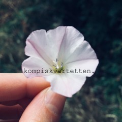 Empty (Ray LaMontagne)