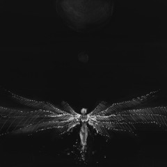 MIZU BUT IT'S BOCHKA