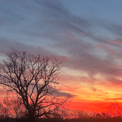 Thankful - A Christian McIntosh