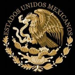 MEXICANO SOY