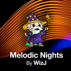 Melodic Nights by WizJ - Melodic Techno Set
