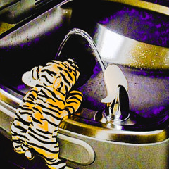 FORREAL (prod mygod)