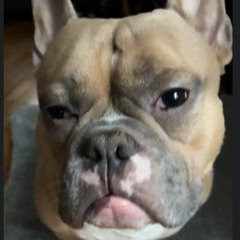 crave u-yukington /unmixxed/