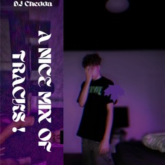 DJ CHEDDA - A NICE MIX OF TRACKS!