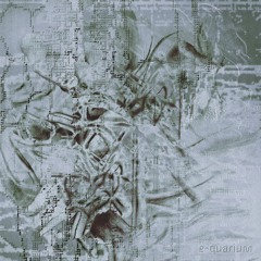 Cypha - embræ