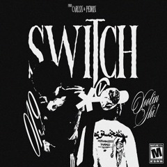 switch + gabe (carlxn & pedrin)