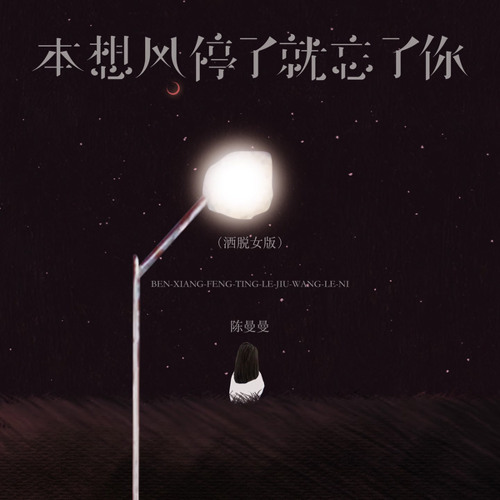 本想风停了就忘了你 (洒脱女版伴奏)