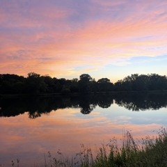 going_sumwhere - blisschords