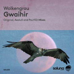 Wolkengrau - Gwaihir (Aeolu5 Remix) [Soluna Music]
