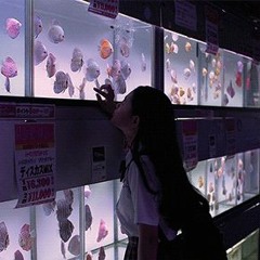 holy hands, holy voices