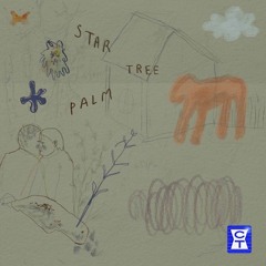 Sam Walters — Star Palm Tree