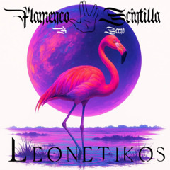 Flamenco Scintilla
