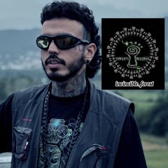 invincible-forest (1)