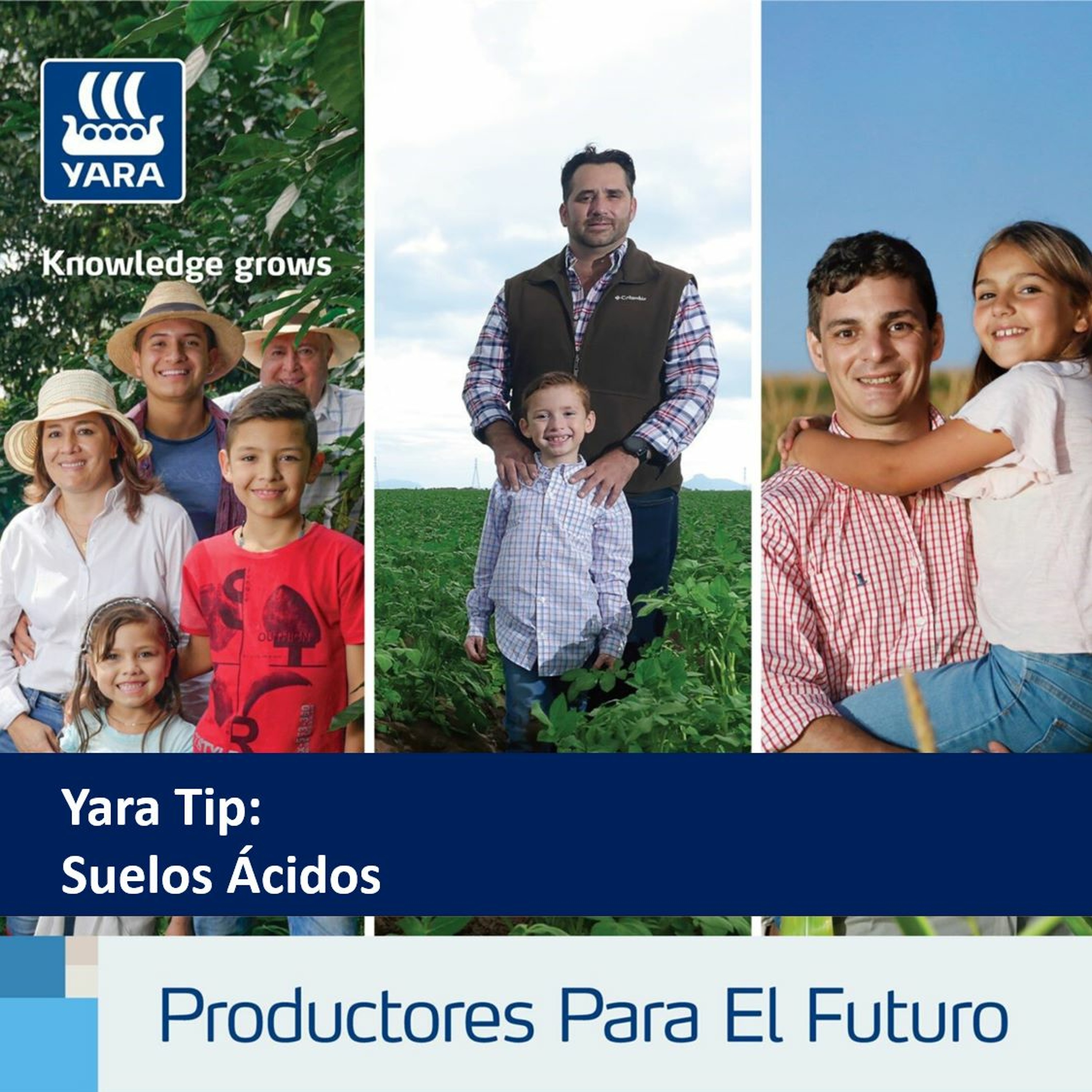 Productores Para El Futuro