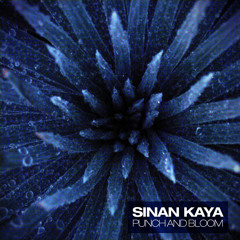 One Fine Day (Original Mix)