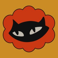 The Night Cat - warm up -  Aug 16 2025