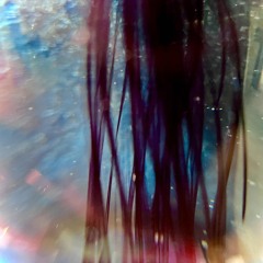tatzentanz - triptrap