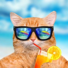 Summer mix 2022