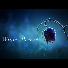 Ezra (Winter Breeze)