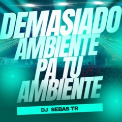 DEMASIADO AMBIENTE PA TU AMBIENTE VOL 1.